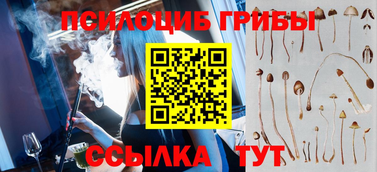 Псилоцибиновые грибы Magic Shrooms  Вход с VPN  Мытищи 